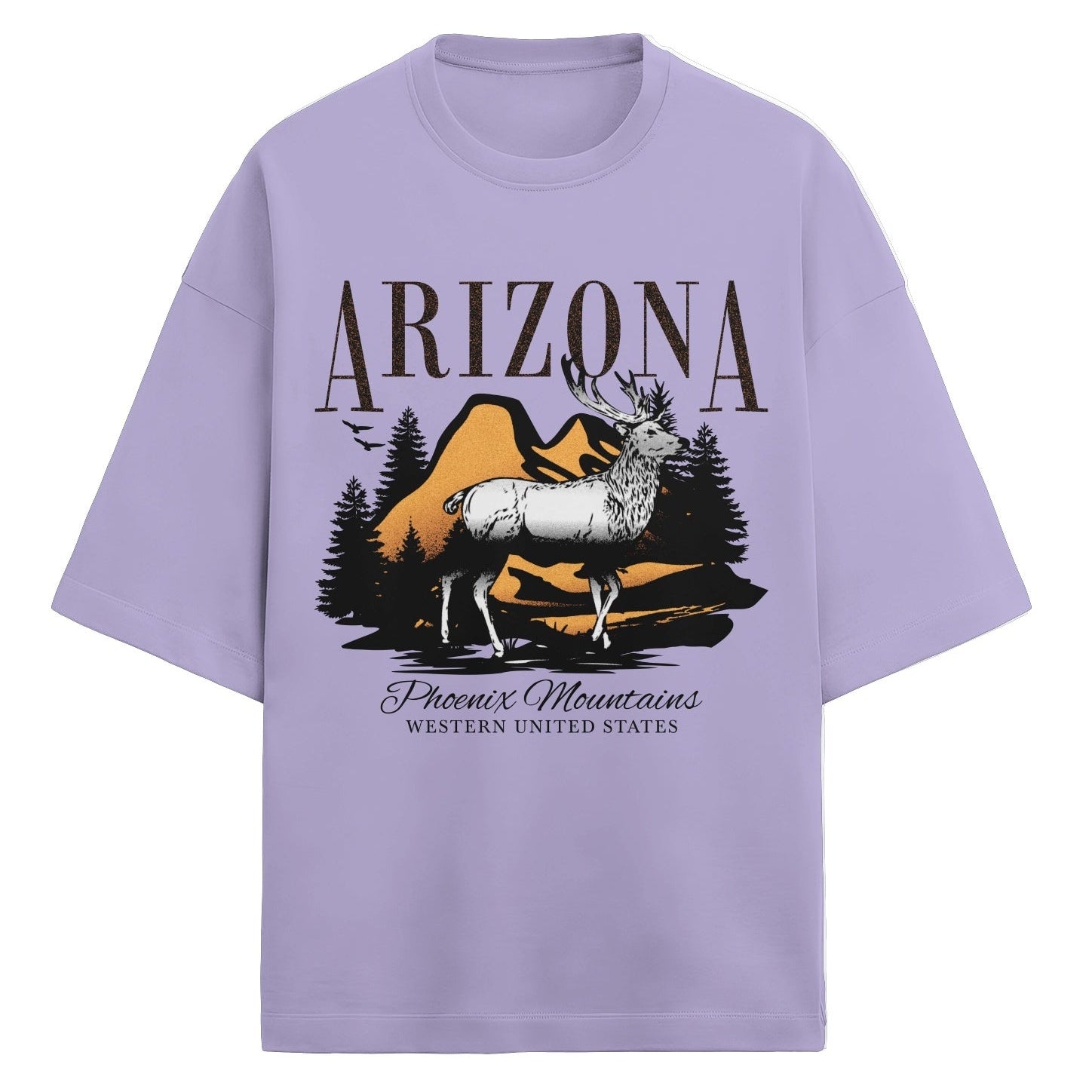 Oversized Arizona Graphic  French Terry Tee